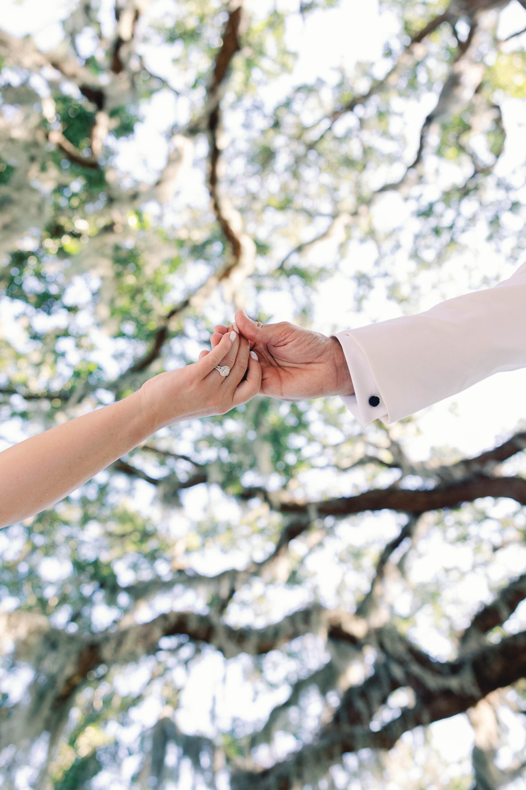 Bride and Groom Hands under the spanish moss covered oak trees at Jekyll Island Beach Club and Resort.